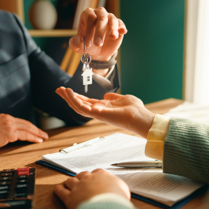 Seguridad y transparencia