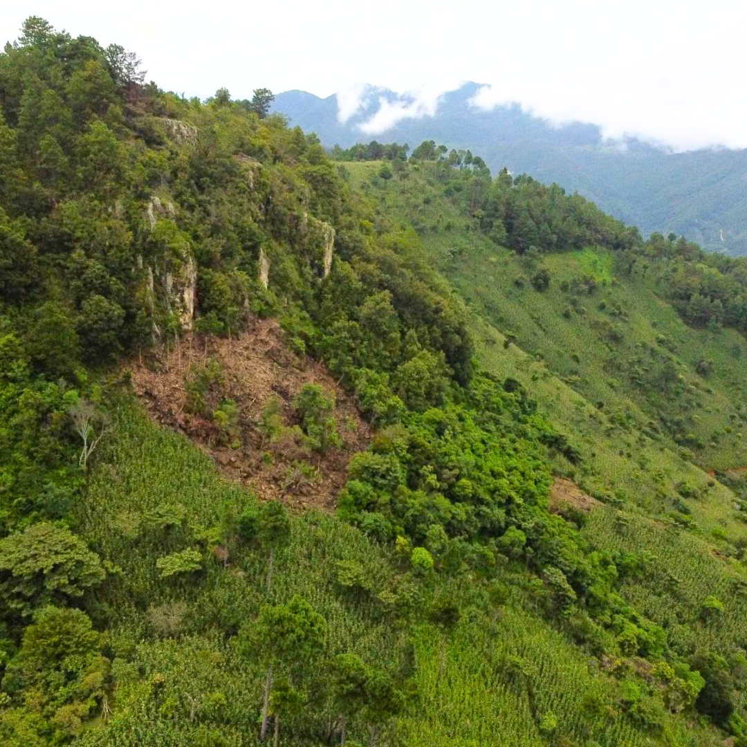 Finca en venta en Chalatenango ideal para cultivo de café de altura
