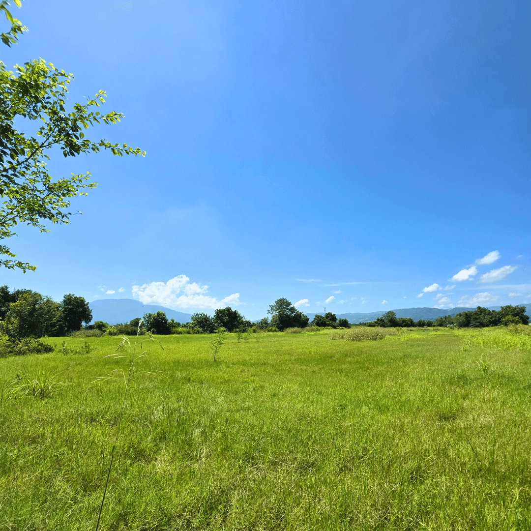 Terreno cerca del Periférico Claudia Lars – 2.5 manzanas