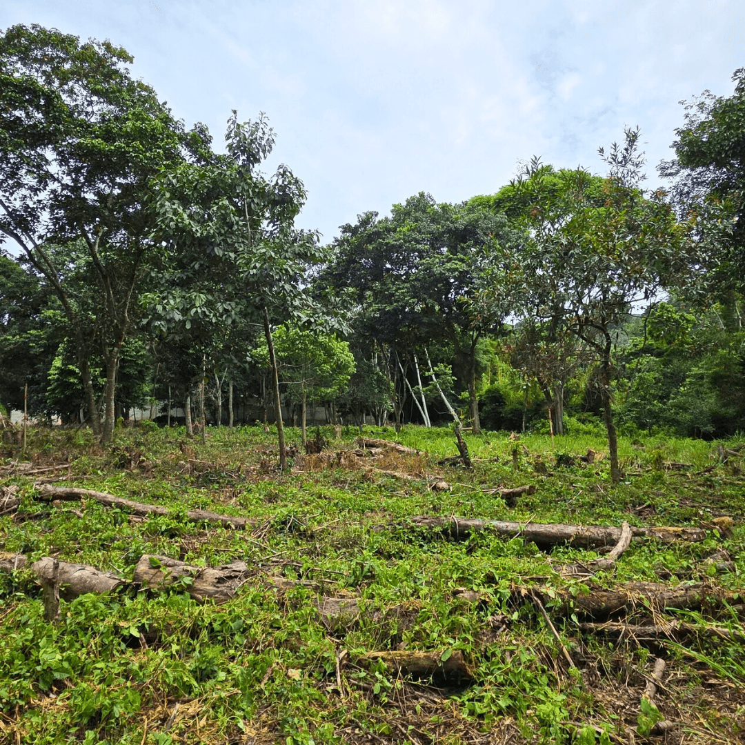 Terreno residencial en Quintas de la Montaña, Santa Tecla