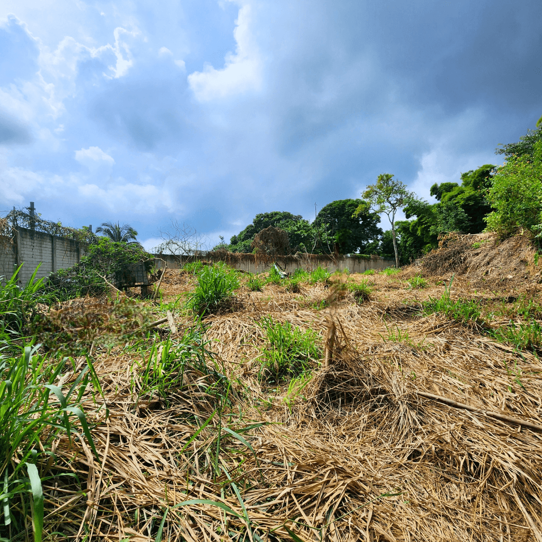 Terreno en Residencial Andalucía, Colonia Escalón