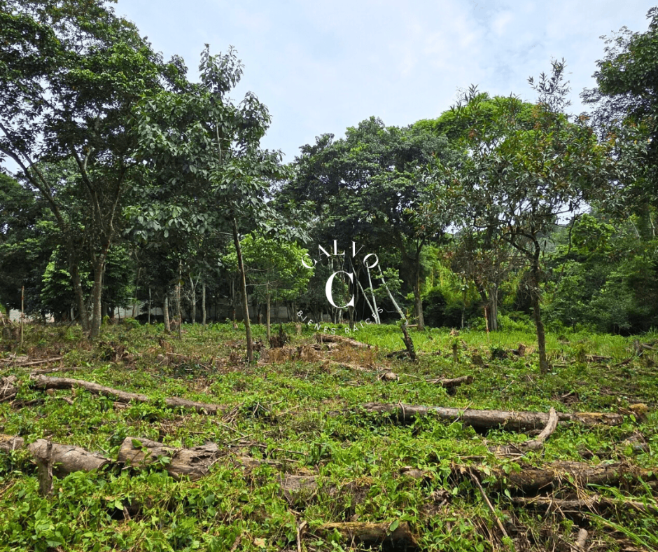 Terreno residencial en Quintas de la Montaña, Santa Tecla