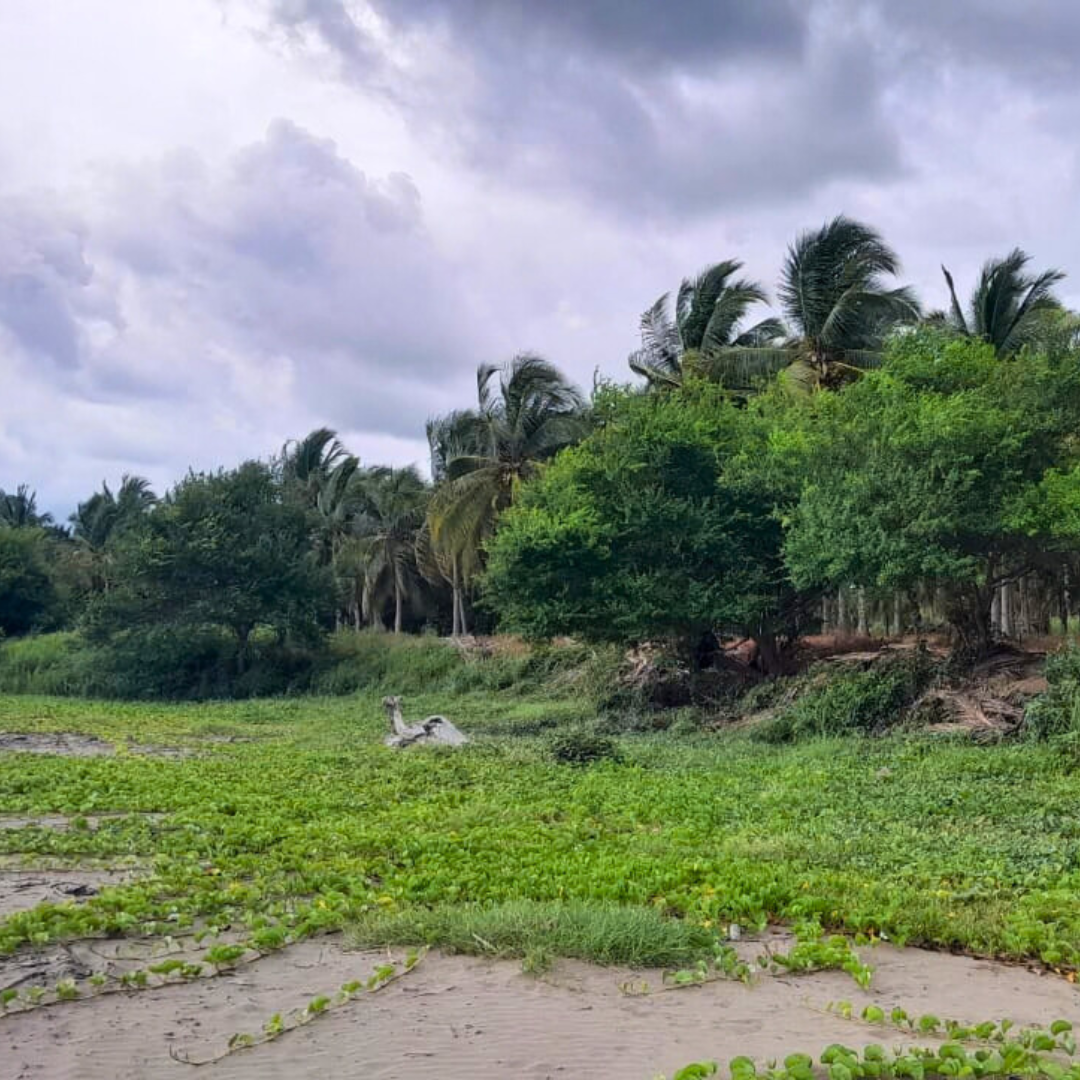 Terreno frente al estero en Barra de Santiago, El Zapote