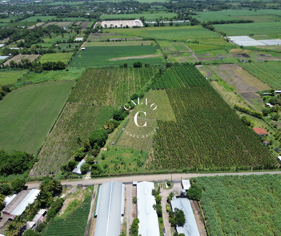 Terreno agrícola con producción en venta, zona Zapotitan