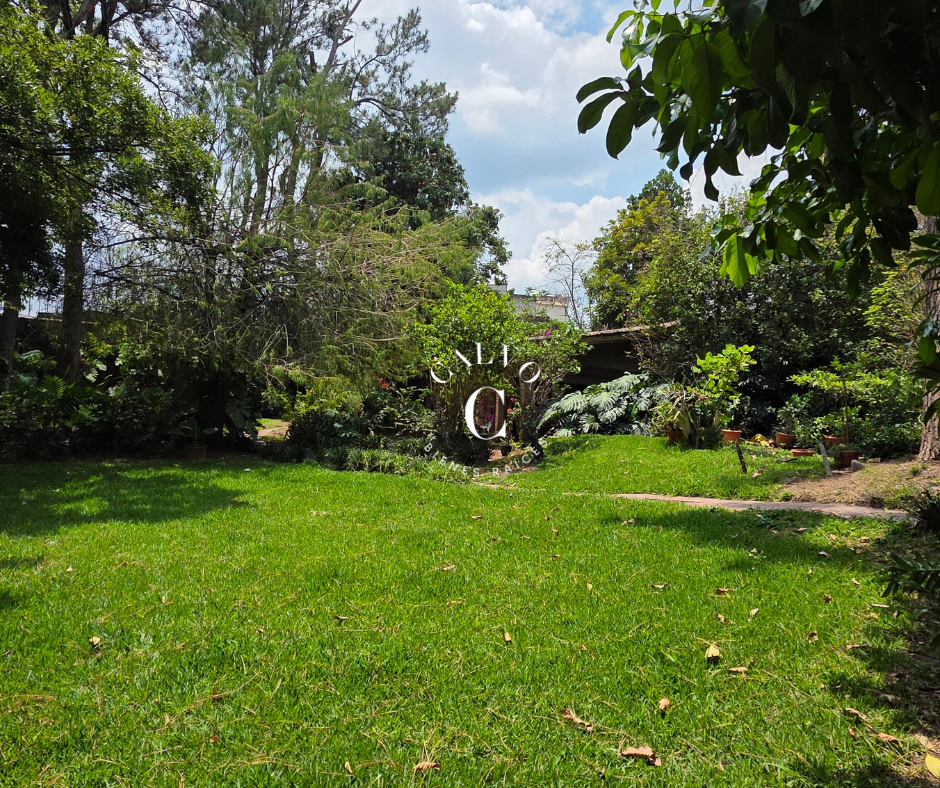 Imagen 3